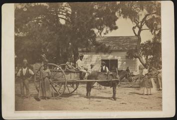 Negro slaves 1862 Edisto Island