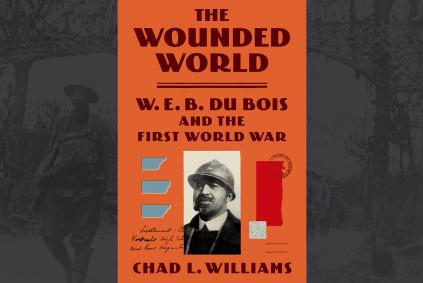 wounded world book cover